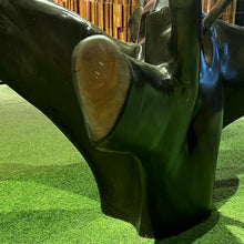 Load image into Gallery viewer, 24175 Tree Base Table