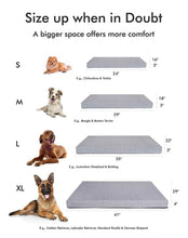 Load image into Gallery viewer, Ollie Pet Bed