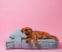 Load image into Gallery viewer, Ollie Pet Bed