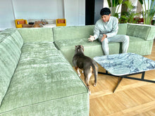 Load image into Gallery viewer, 23257 Couch
