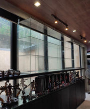 Load image into Gallery viewer, TNR Modular Display Cabinet