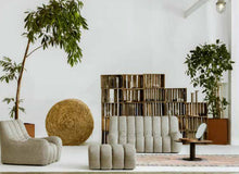Load image into Gallery viewer, Dach Couch