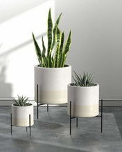 Load image into Gallery viewer, Nari Plant Stand