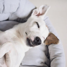 Load image into Gallery viewer, Farabu Pet Pillow