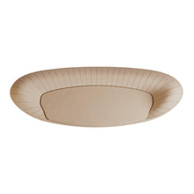 Load image into Gallery viewer, Paua Collection