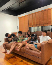 Load image into Gallery viewer, Yambao Sofa Bed