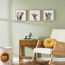 Load image into Gallery viewer, Alice Nurture Collection