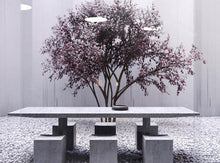 Load image into Gallery viewer, Zuu Dining Collection