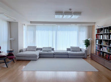 Load image into Gallery viewer, Numa Couch