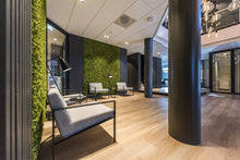 Load image into Gallery viewer, Axel Accent Chair