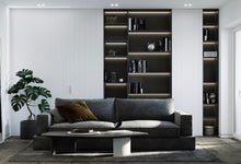 Load image into Gallery viewer, Curutiba Couch